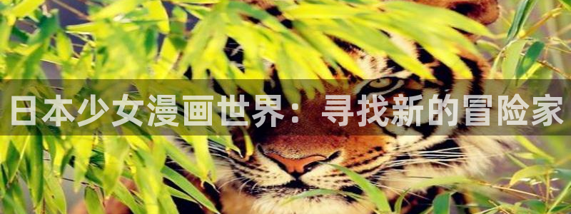 香蕉文化小说下拉式漫画星球下载：日本少女漫画世界：寻找新的冒险家