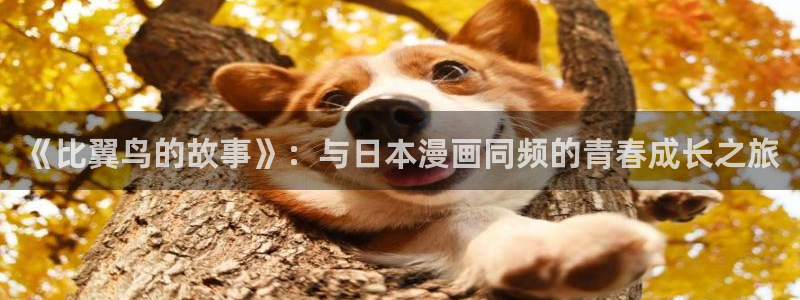 香蕉文化漫画小说最新版本更新内容