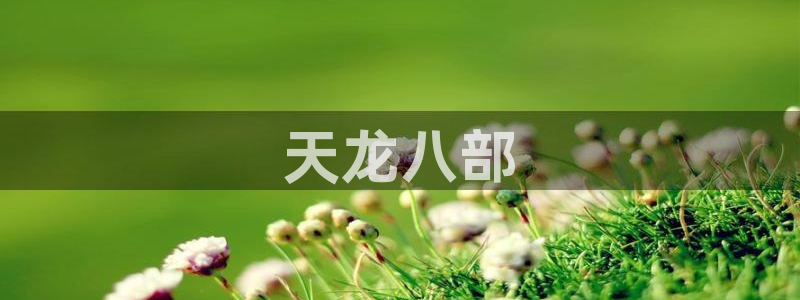 香蕉文化下拉式漫画星球：天龙八部