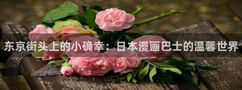香蕉文化动画漫画